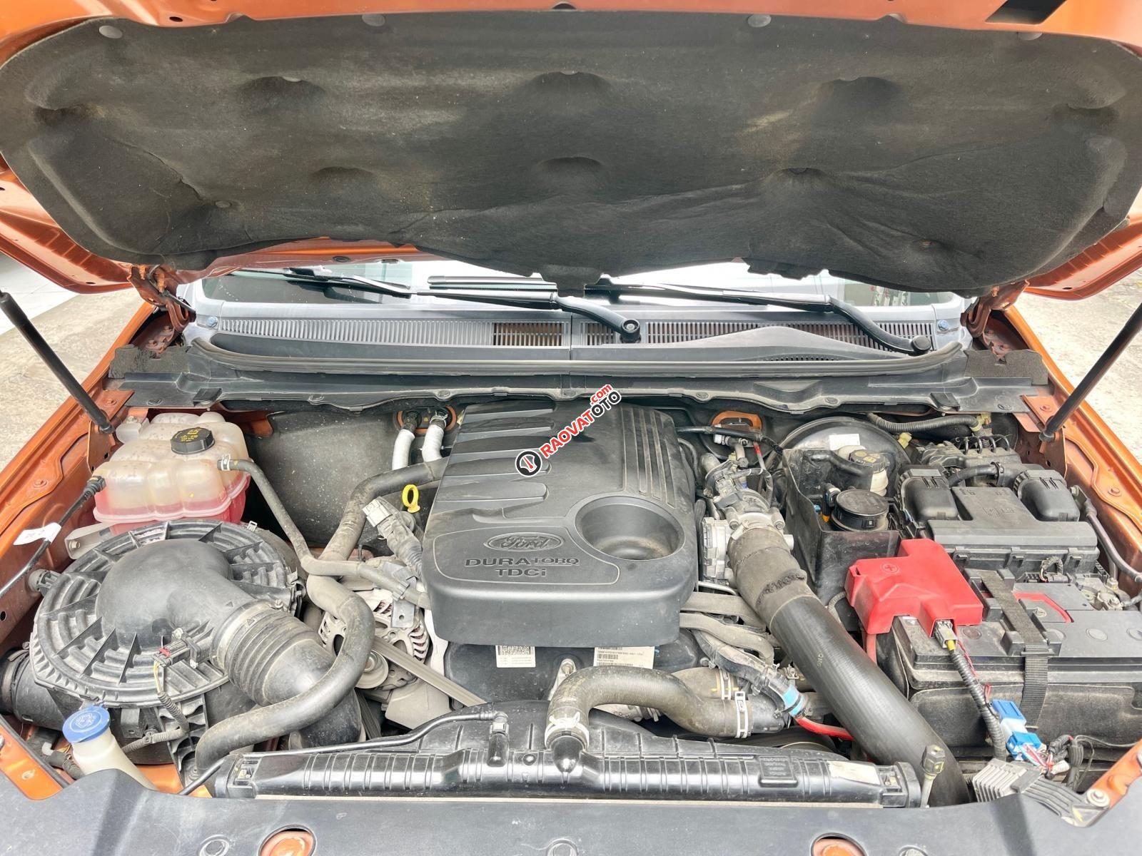 Màu nâu, nhập khẩu nguyên chiếc-13