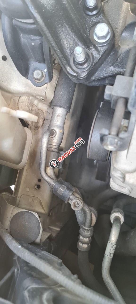 Sơ cua chưa hạ-12