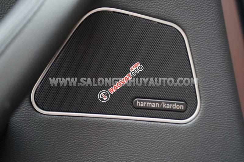 Màu nâu, nhập khẩu nguyên chiếc-4