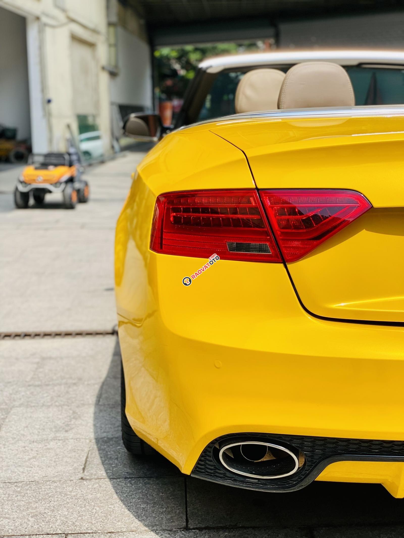 Trắng wrap vàng-8