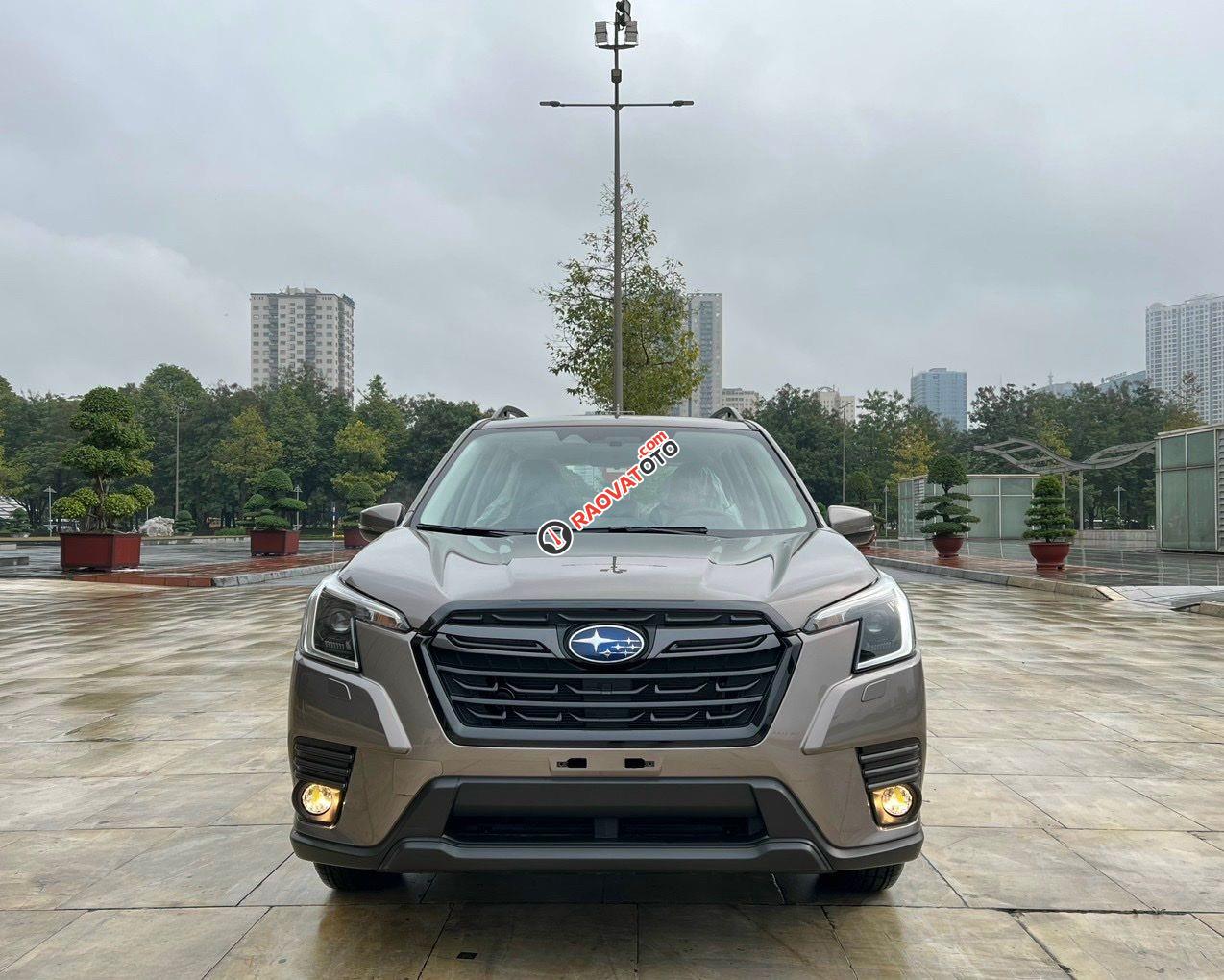 Giá tốt nhất miền Bắc-0