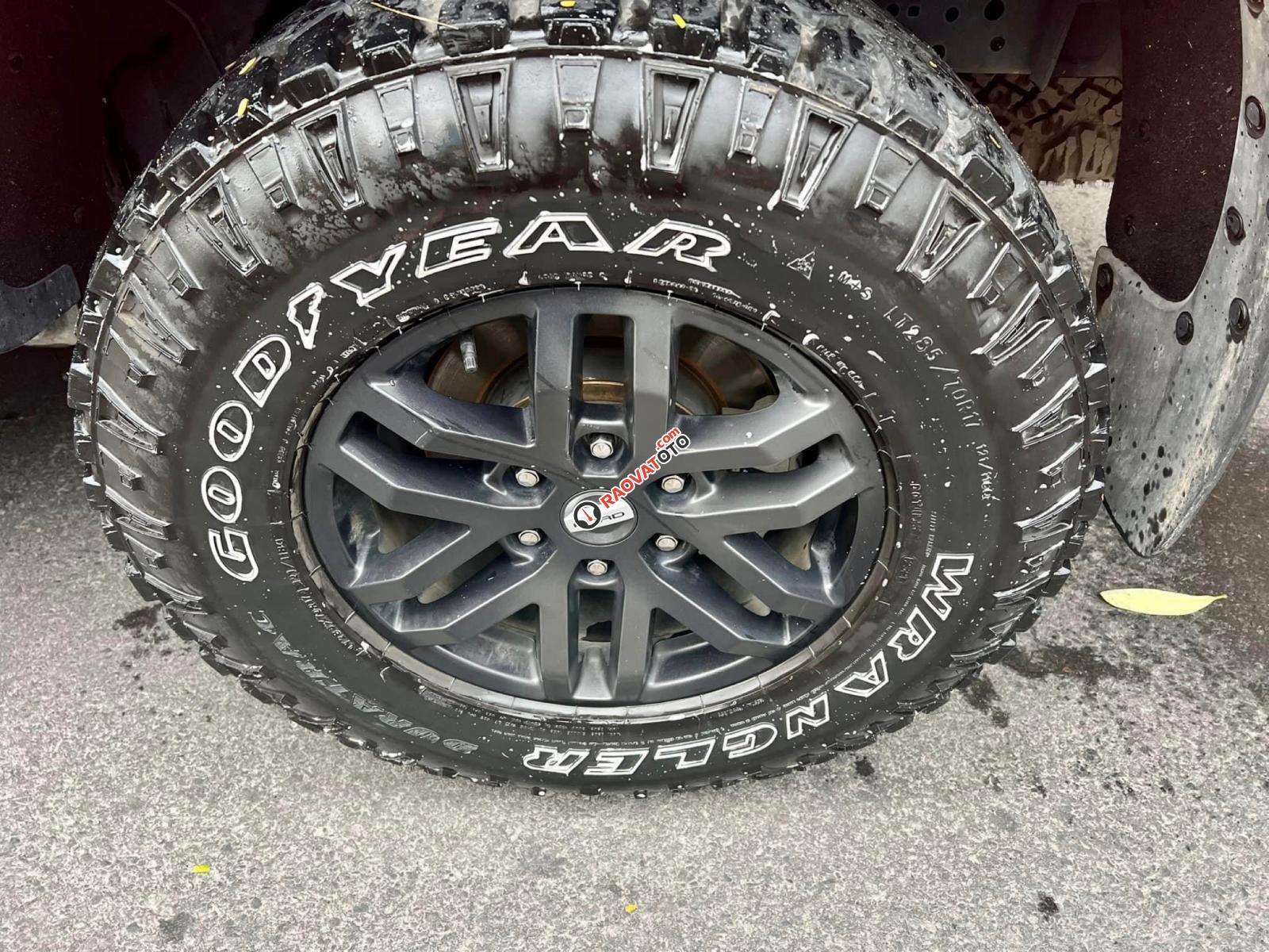 Gốc biển thành phố không niên hạn-16