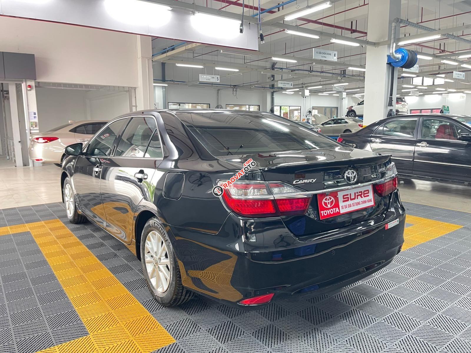 Màu đen đẹp xuất sắc-3