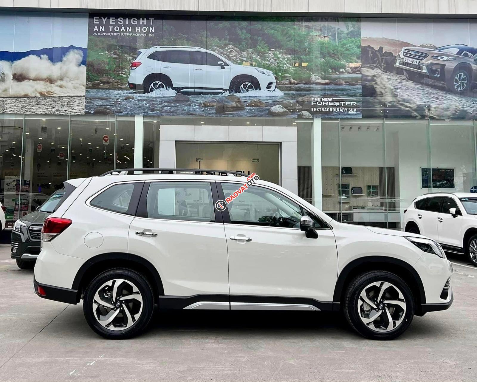 Nhập khẩu nguyên chiếc, giá tốt nhất miền Bắc-2