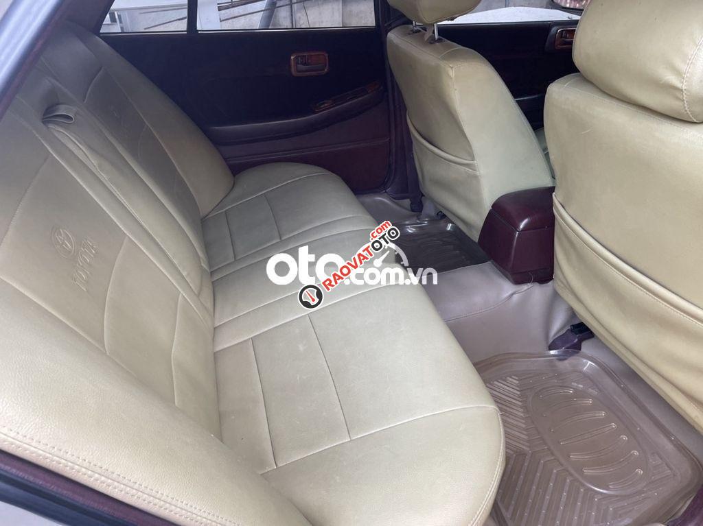 Bán cressida giá rẻ, chất lượng cọp khỏi bàn-6