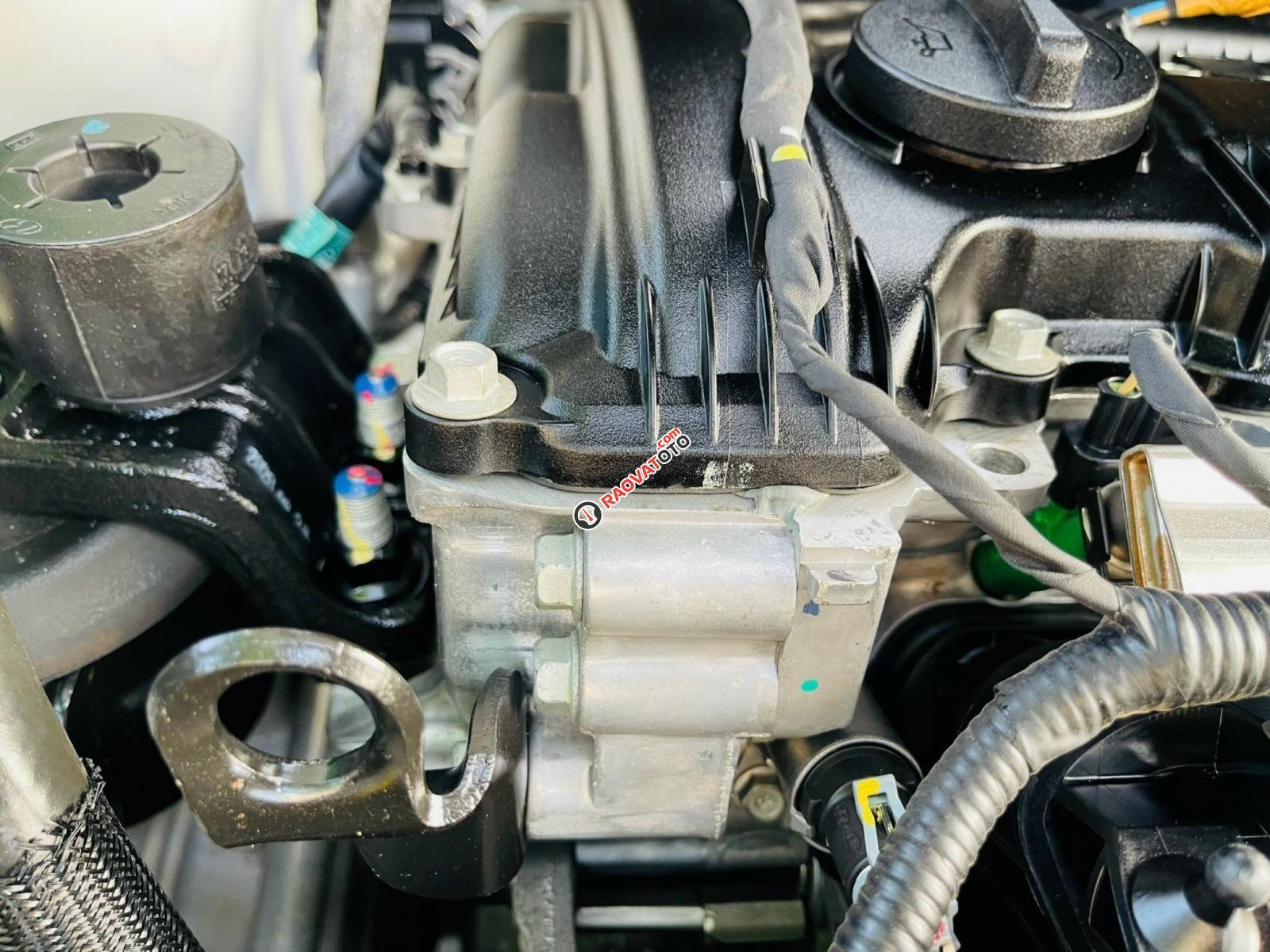 1 chủ từ mới-13