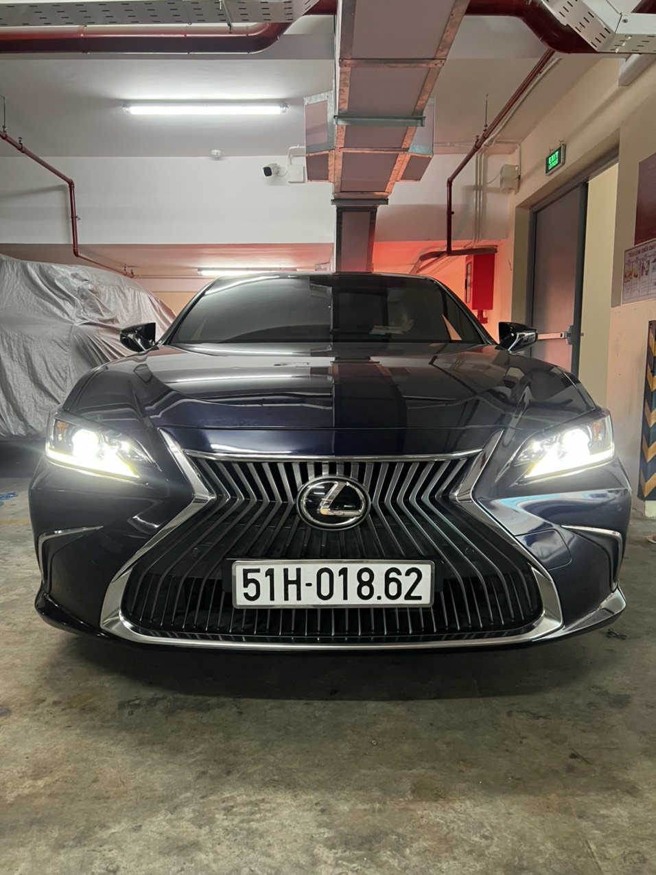 Lexus ES250 sản xuất 2018 đăng ký 2019-0