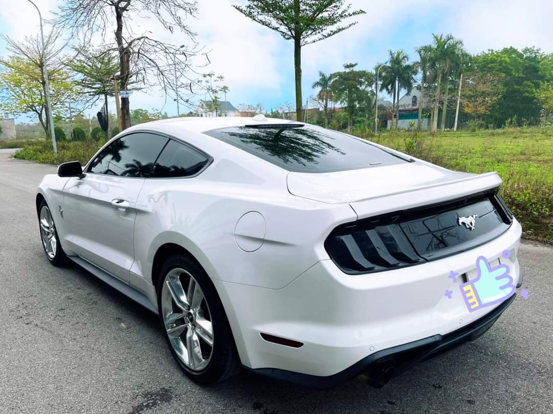 Ford Mustang Premium 2.3 bản Fifty - five year 2020 .Nhập mỹ nguyên chiếc.-1