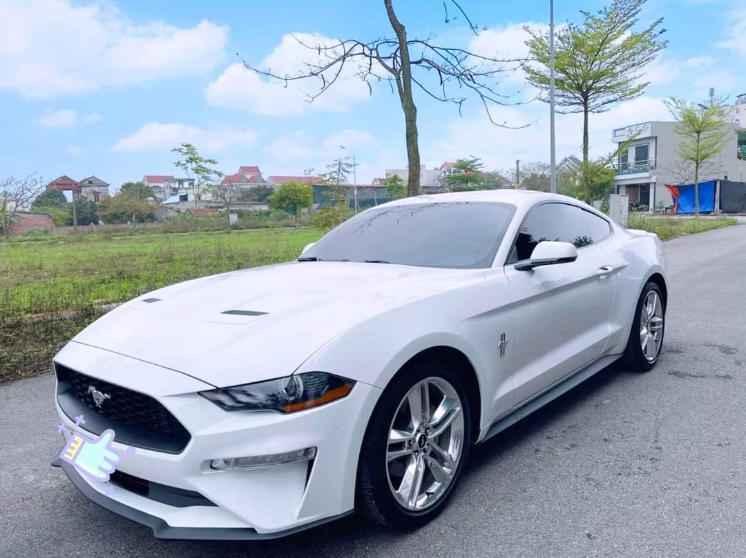 Ford Mustang Premium 2.3 bản Fifty - five year 2020 .Nhập mỹ nguyên chiếc.-0