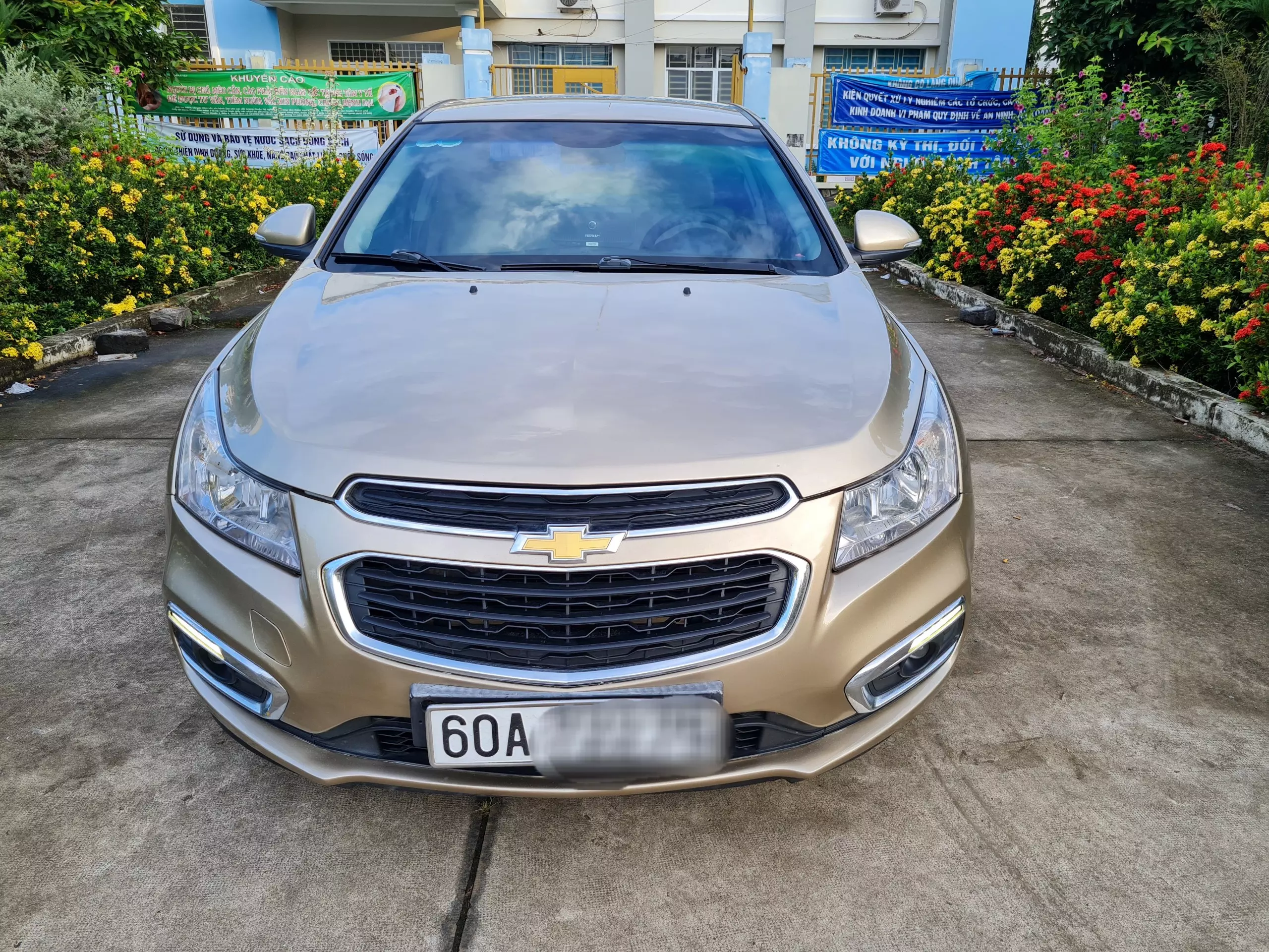 Chính Chủ Cần Bán xe  CHEVROLET CRUZE  2016 - LT  1.6  số sàn-2