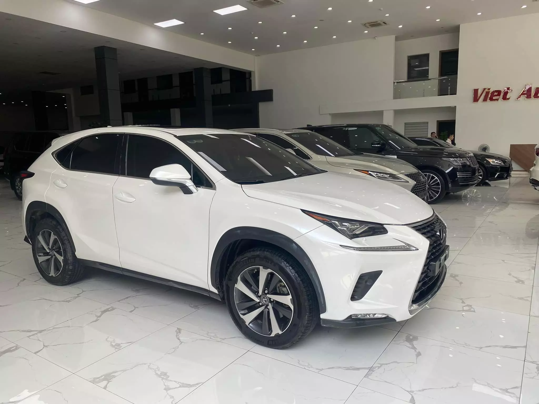 Chính chủ bán Lexus NX300 mode 2019, sơn zin cả xe, full lịch sử hãng-2