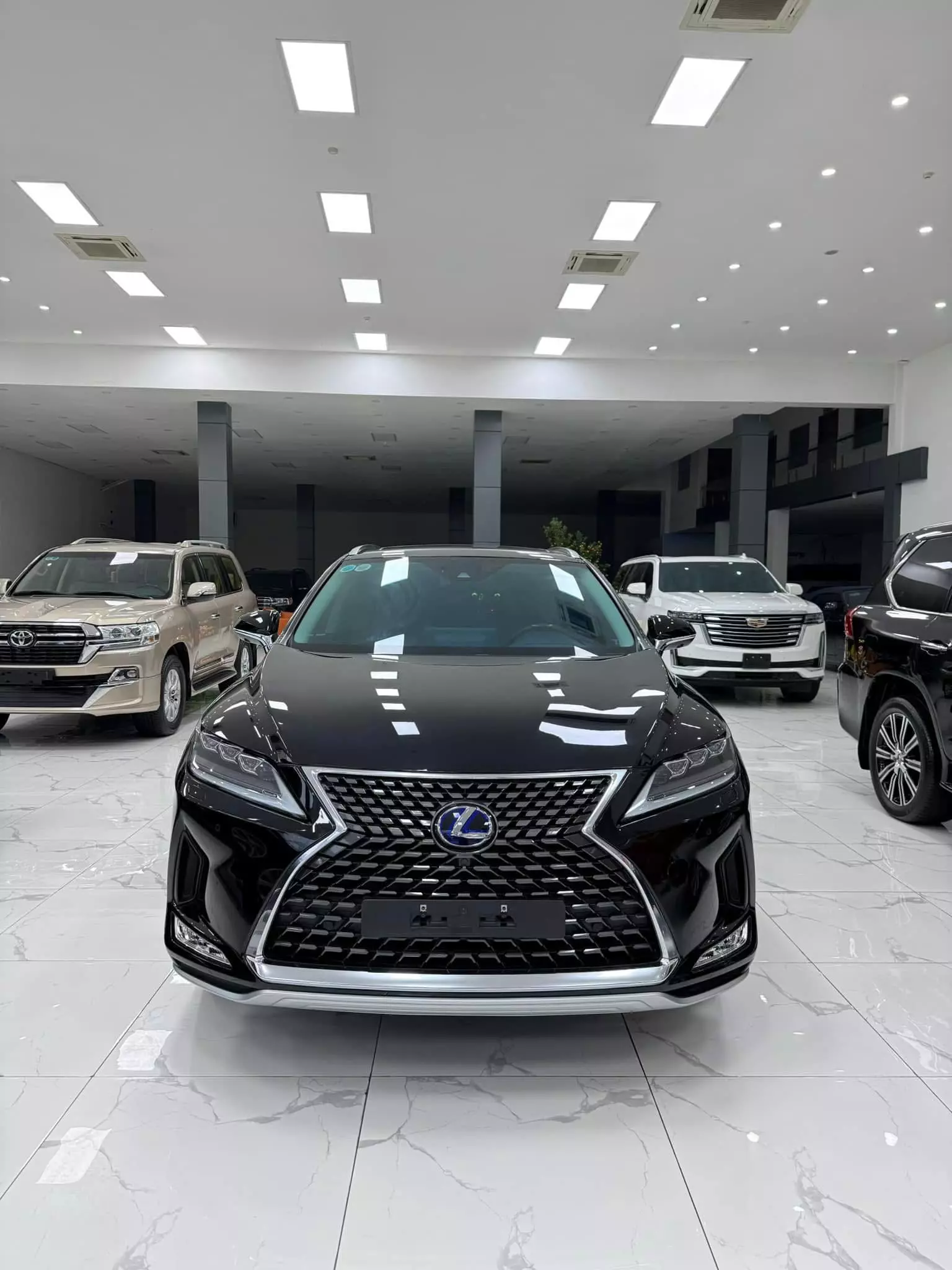 Bán Lexus RX 450H sản xuất 2021.-0