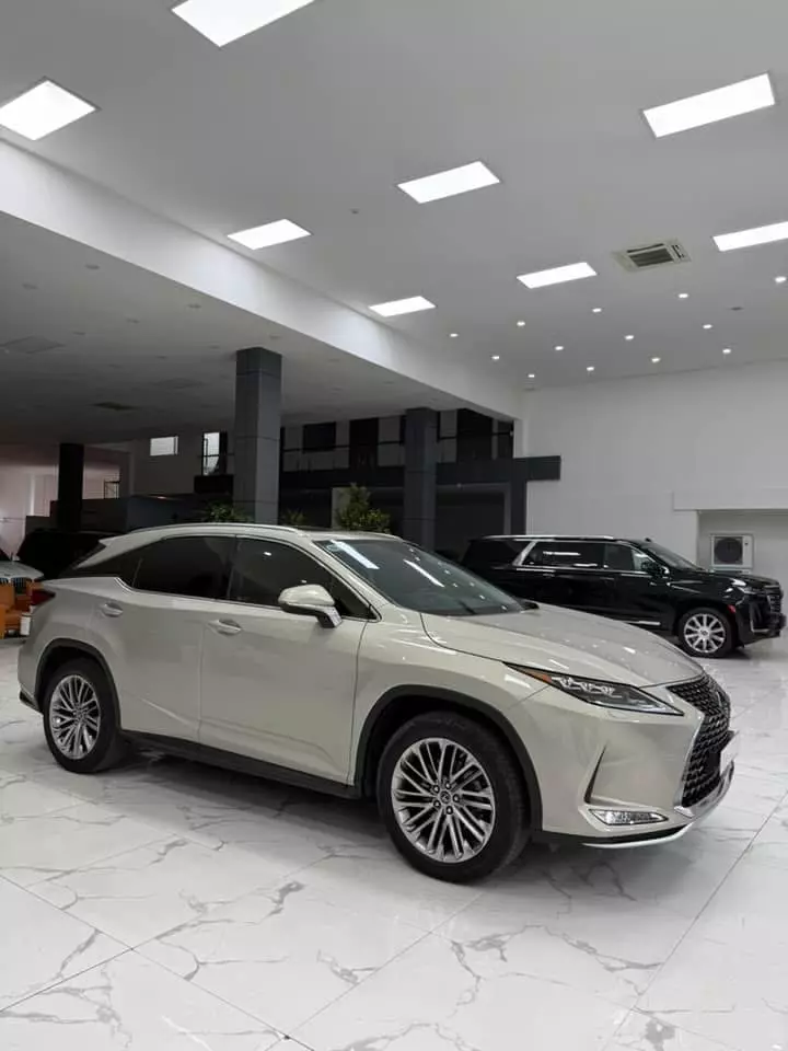 Bán Lexus RX350, sản xuất 2022.-5