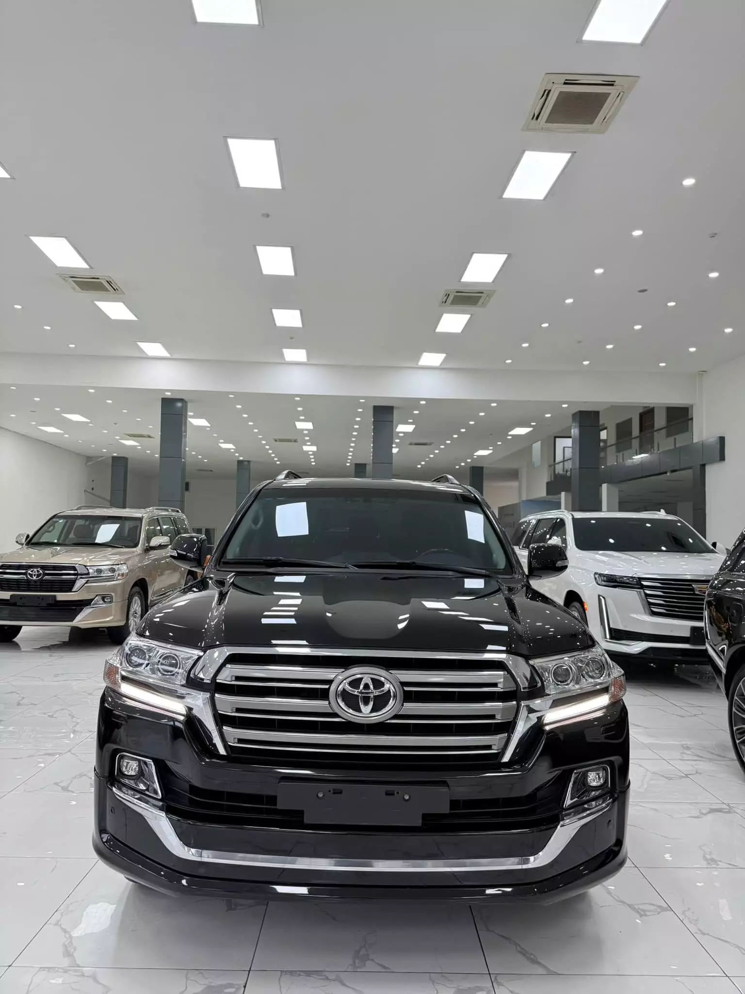 Bán Land Cruiser 4.6 V8, sản xuất 2019-0