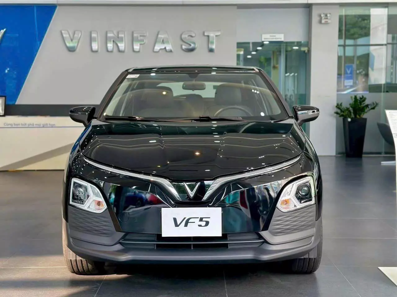 Vf5 plus 2025 giá tốt siêu nhiều quà tặng hấp dẫn-4