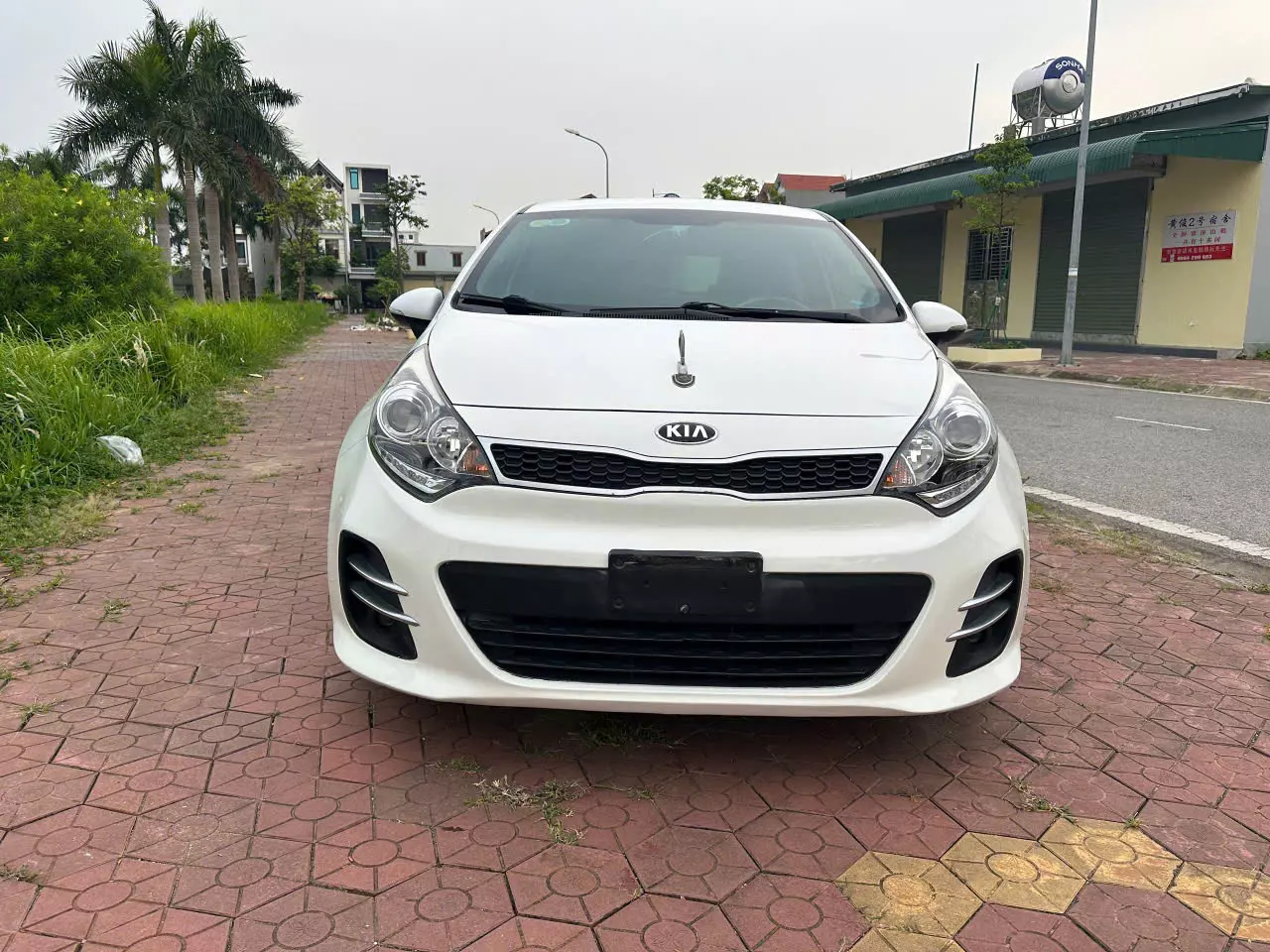 Ảnh số 13
