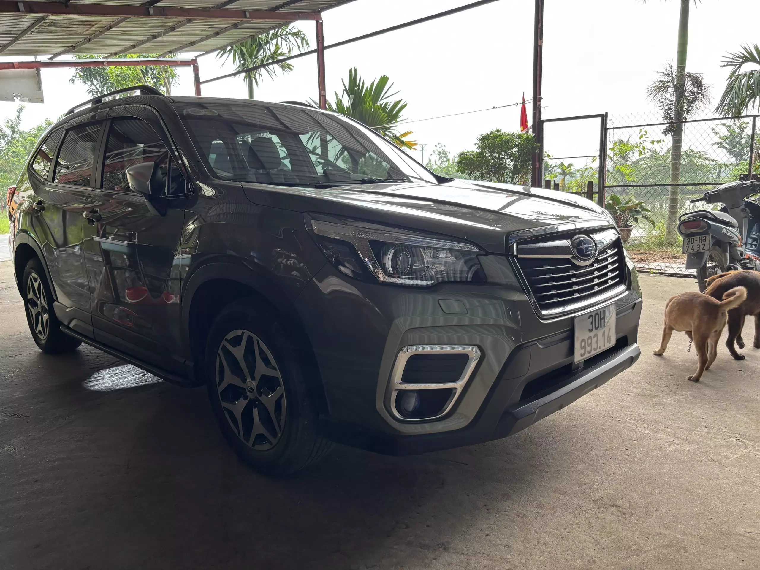  BÁN XE SUBARU FORESTER 2.0i – NHẬP KHẨU -0