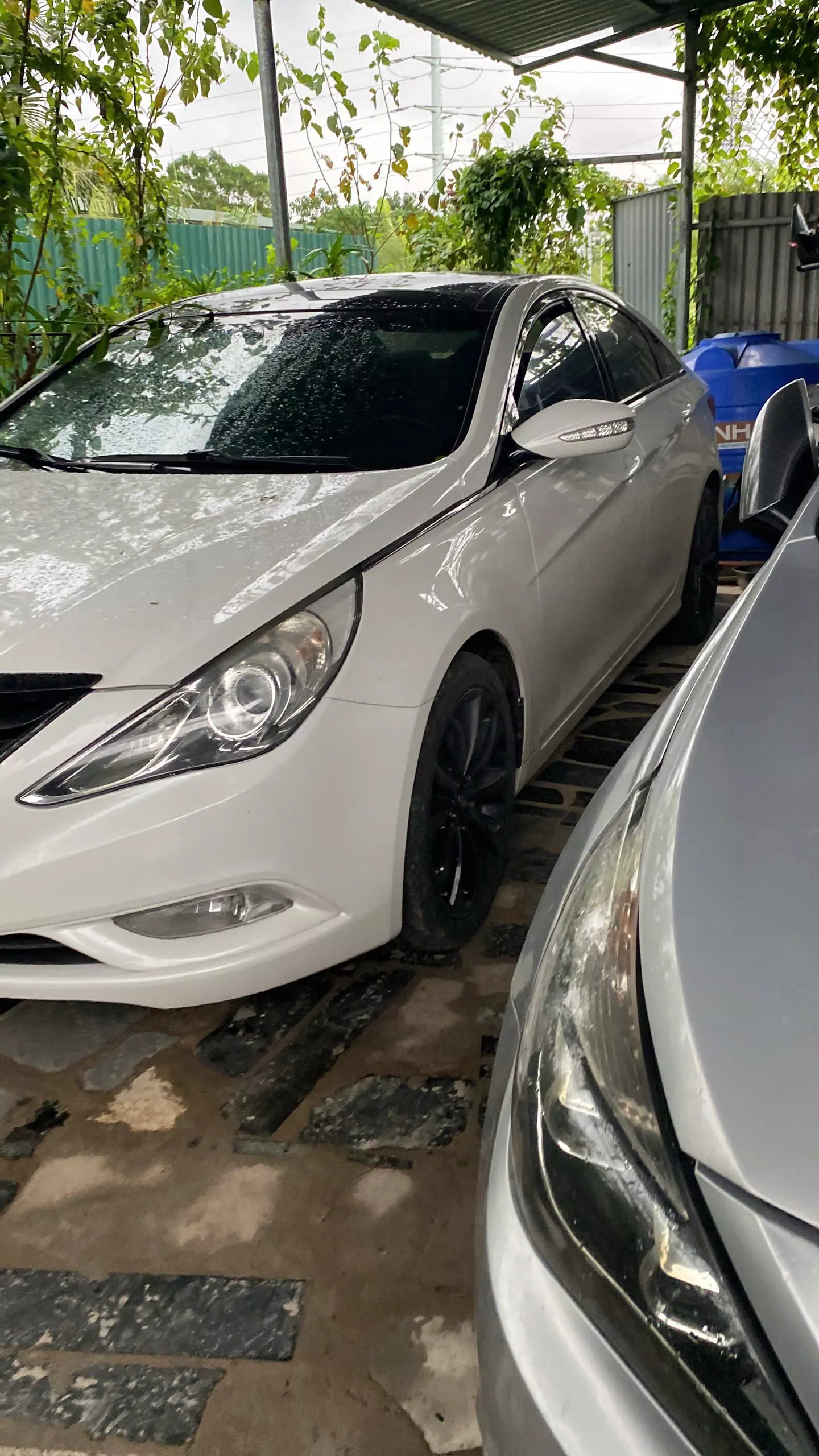 Em cần nhượng lại chiếc xe Hyundai Sonata Y20 , đăng ký lần đầu 31/12/2010-5