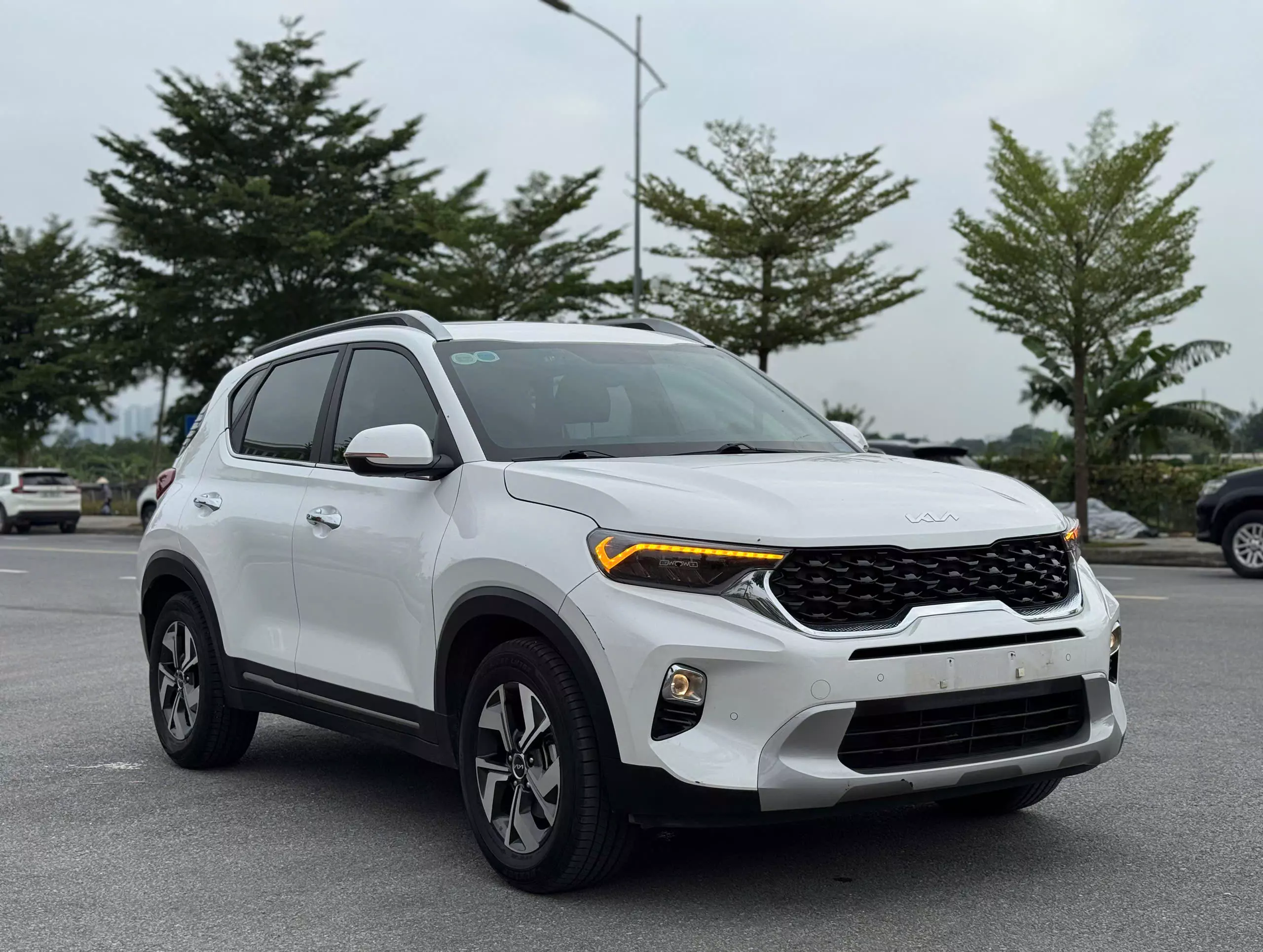  Sonet Premium 2024-10