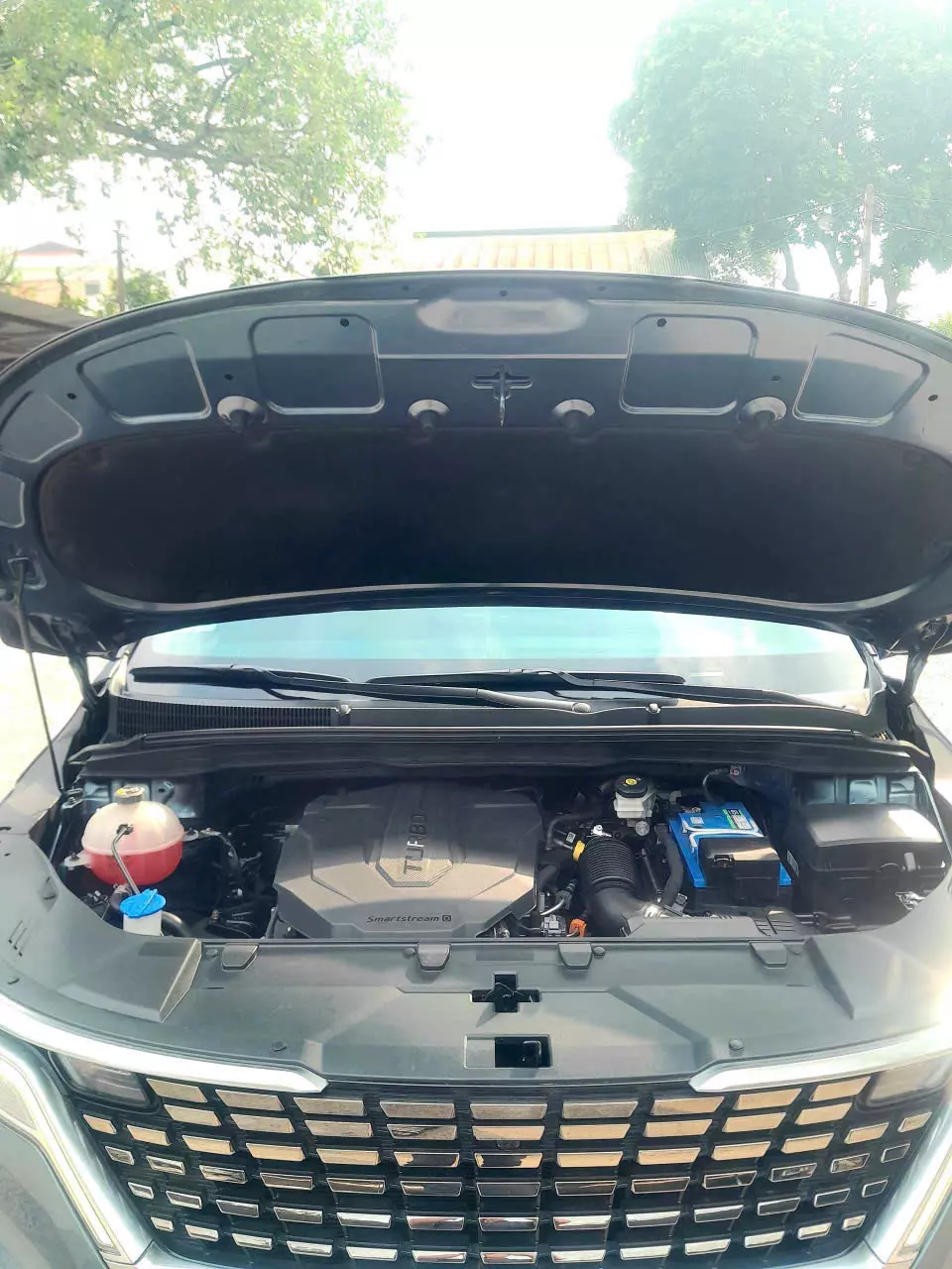 Carnival premium SX 2022 dầu cao cấp.-5