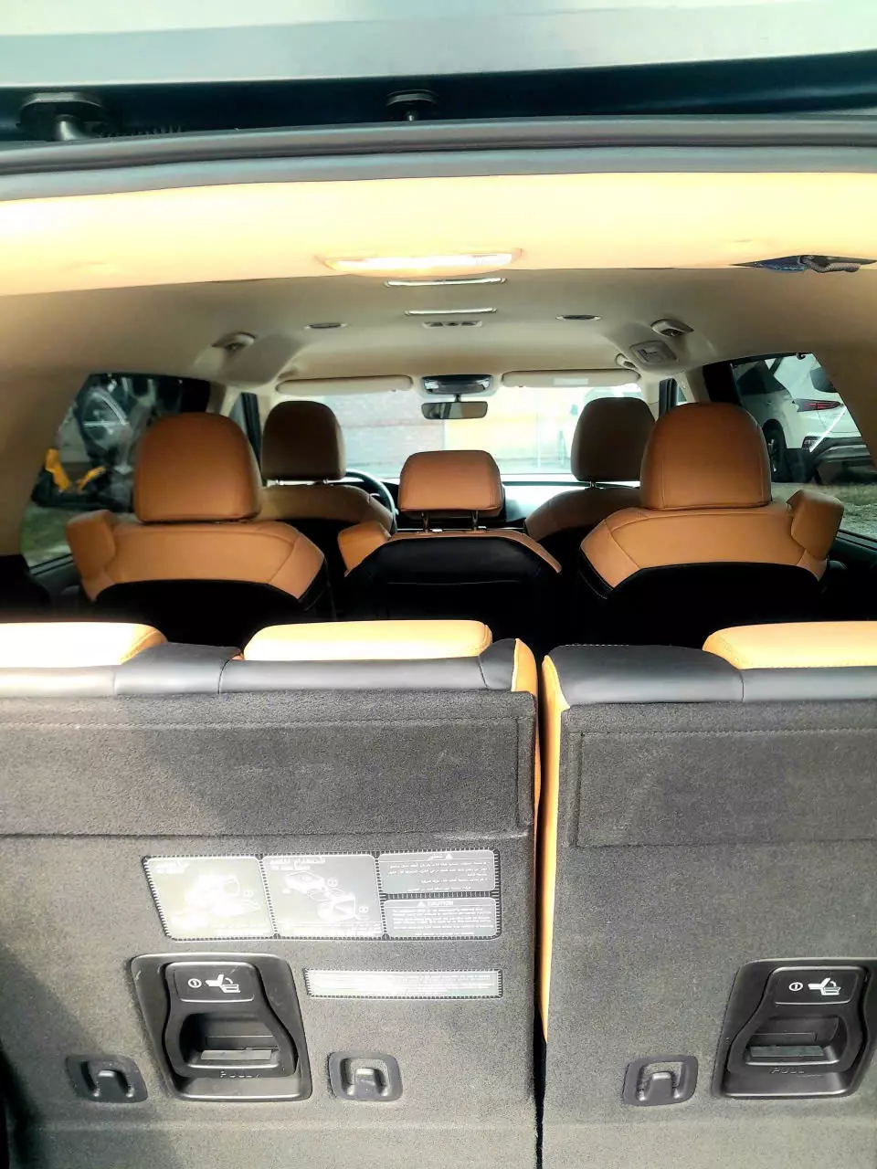 Carnival premium SX 2022 dầu cao cấp.-4