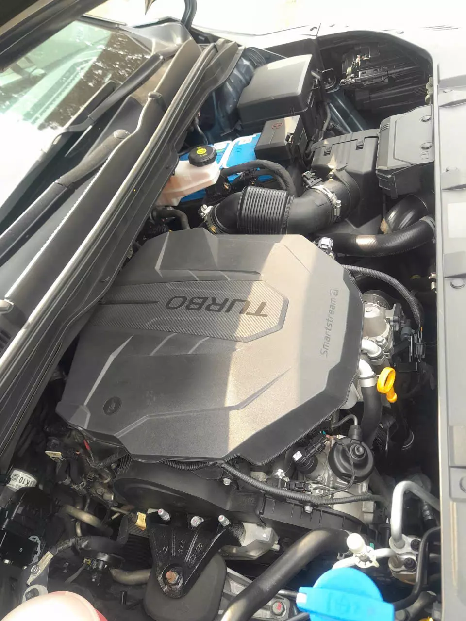 Carnival premium SX 2022 dầu cao cấp.-7