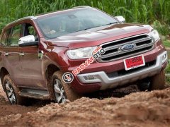 Bán Ford Everest Trend đời 2017, màu đỏ