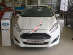 [Hot] xe Ford Fiesta 1.0 Ecoboost, hỗ trợ giá sốc