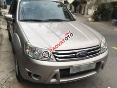 Bán Ford Escape, đời 2009 số tự động, giá 399tr