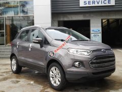 Ford Mỹ Đình bán xe Ford Ecosport Titanium 1.5L đời 2017, giá khuyến mãi