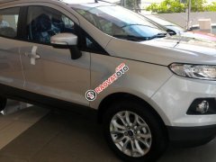 Ford Ecosport Titanium AT màu bạc giá tốt, đại lý bán Ford Ecosport đủ màu, giao ngay