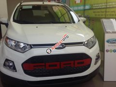 Hot! Hot! Ecosport số sàn 2017 chỉ với 185 triệu, LH: 0909 850 255 - Ms Duyên