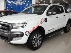 An Đô Ford - bán Ford Ranger Wildtrak nhập khẩu nguyên chiếc giá tốt, khuyến mãi lớn, LH: 0987 987 588
