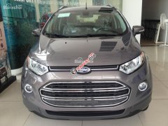 Sở hữu Ford Ecosport Titanium AT chỉ với 9 triệu mỗi tháng, đại lý bán Ford Ecosport giá tốt