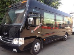 Bán xe Hyundai County Limousine sản xuất 2017, xe nhập