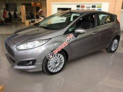 Bán ô tô Ford Fiesta 1.0L Ecoboost  trả góp