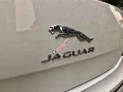 Chính chủ bán xe Jaguar XJ 2.0 đời 2014, màu trắng, xe nhập