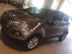 Bán xe Ford EcoSport Titatium 2016, màu nâu 