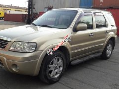 Bán ô tô Ford Escape 2.3L 2004, màu ghi vàng, giá 275tr