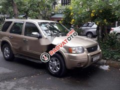 Bán Ford Escape 3.0 năm sản xuất 2003, chính chủ giá cạnh tranh