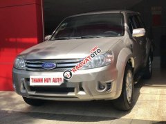 Cần bán xe cũ Ford Escape XLT 2008