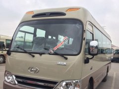 Bán Hyundai County Limousine năm sản xuất 2017, màu kem (be)