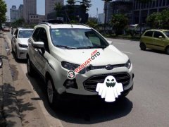 Cần bán xe Ford EcoSport Titanium 1.5L đời 2016, màu trắng chính chủ