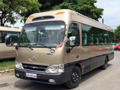 Bán ô tô Hyundai County Limousine sản xuất năm 2017, hai màu