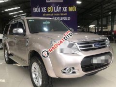 Cần bán Ford Everest 4x2 MT sản xuất năm 2015, giá chỉ 675 triệu