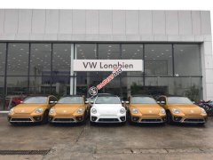 Cần bán xe Volkswagen New Beetle năm 2018, màu cam, nhập khẩu nguyên chiếc