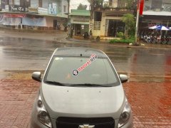 Cần bán Chevrolet Spark LS sản xuất năm 2015, màu bạc, nhập khẩu