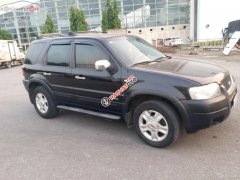 Bán Ford Escape XLT sản xuất 2004, màu đen 