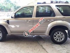 Bán Ford Escape XLS đời 2014, màu hồng phấn