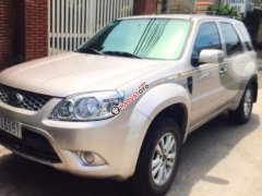 Bán xe Ford Escape XLS năm 2013, màu phấn hồng